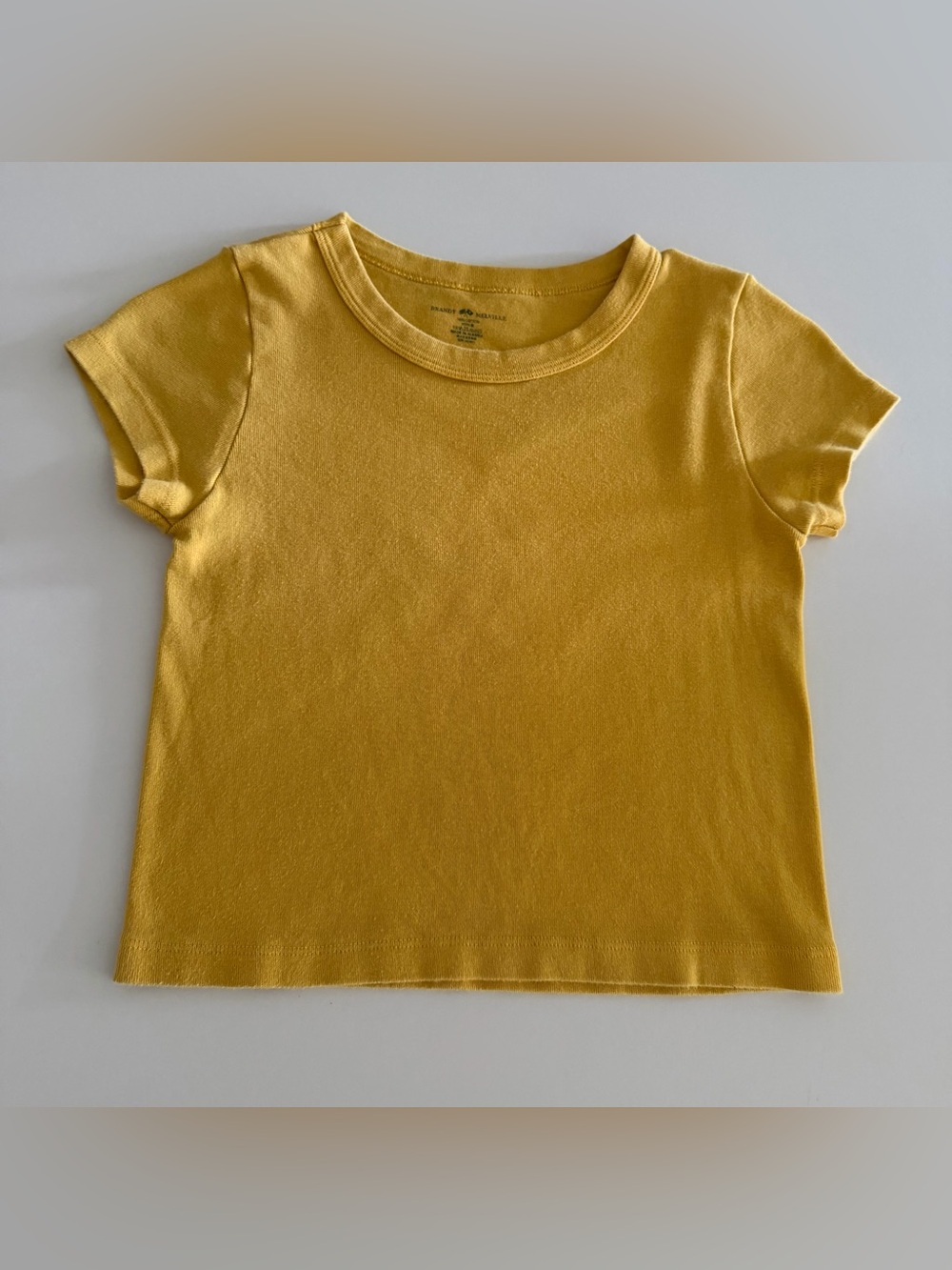 Brandy Melville Short Sleeve Tee